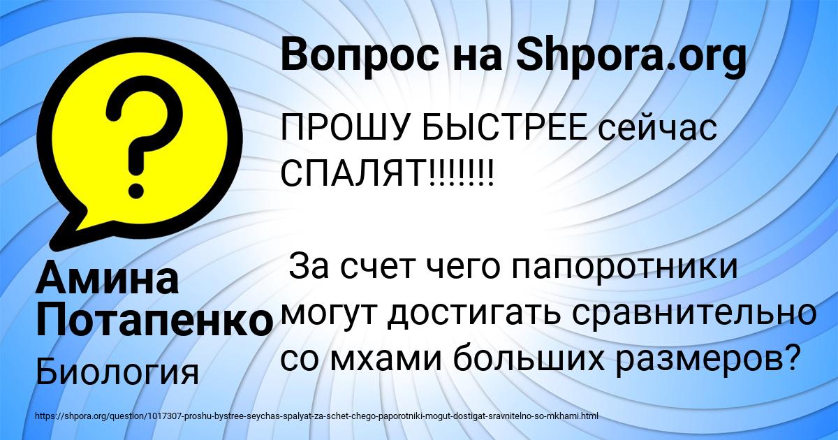 Картинка с текстом вопроса от пользователя Амина Потапенко