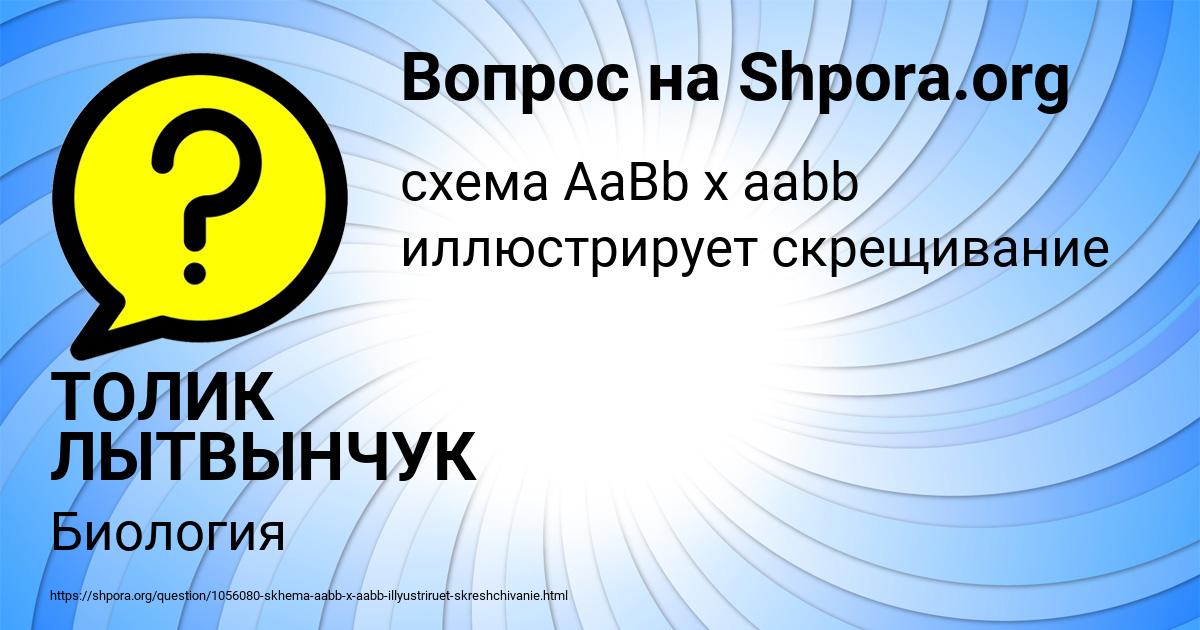 Картинка с текстом вопроса от пользователя ТОЛИК ЛЫТВЫНЧУК