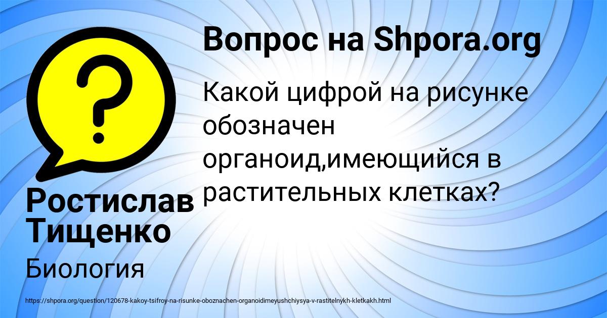 Картинка с текстом вопроса от пользователя Ростислав Тищенко