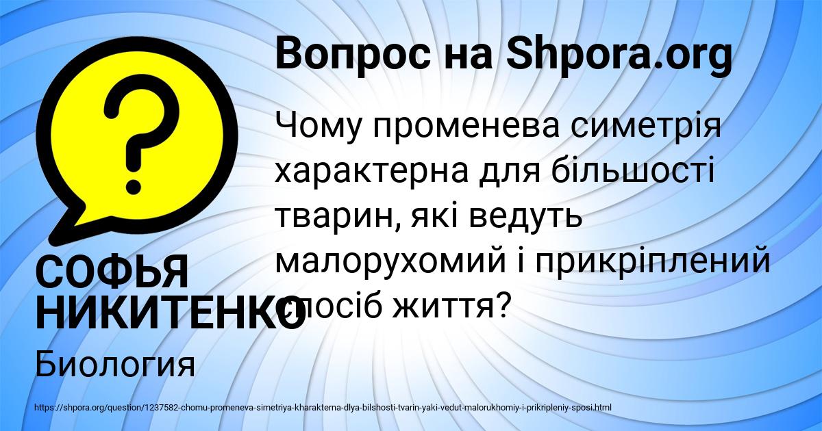 Картинка с текстом вопроса от пользователя СОФЬЯ НИКИТЕНКО
