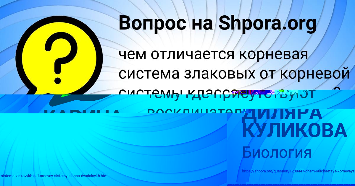 Картинка с текстом вопроса от пользователя ДИЛЯРА КУЛИКОВА