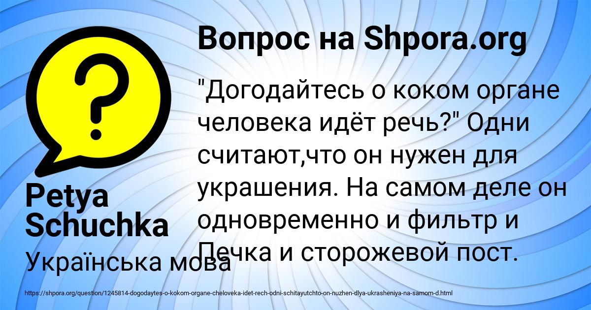 Разнообразие вопросов