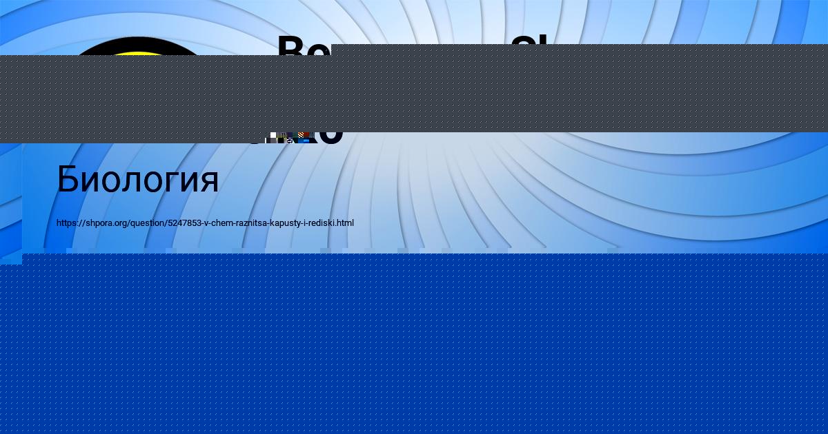 Картинка с текстом вопроса от пользователя ЛИНА ВОЛОШИНА