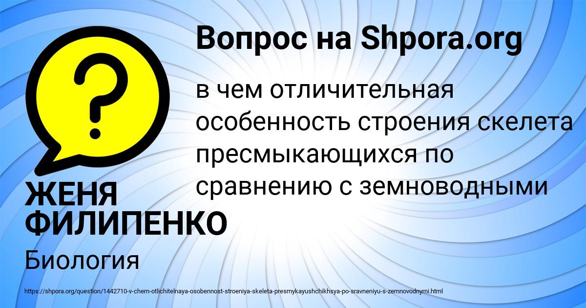 Картинка с текстом вопроса от пользователя ЖЕНЯ ФИЛИПЕНКО