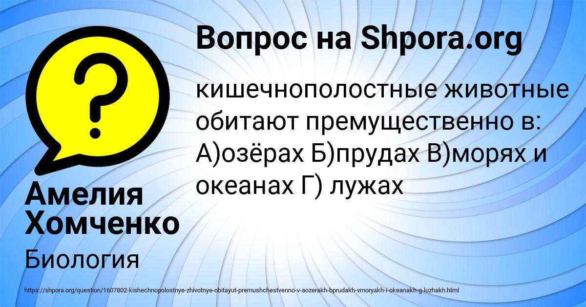 Картинка с текстом вопроса от пользователя Амелия Хомченко