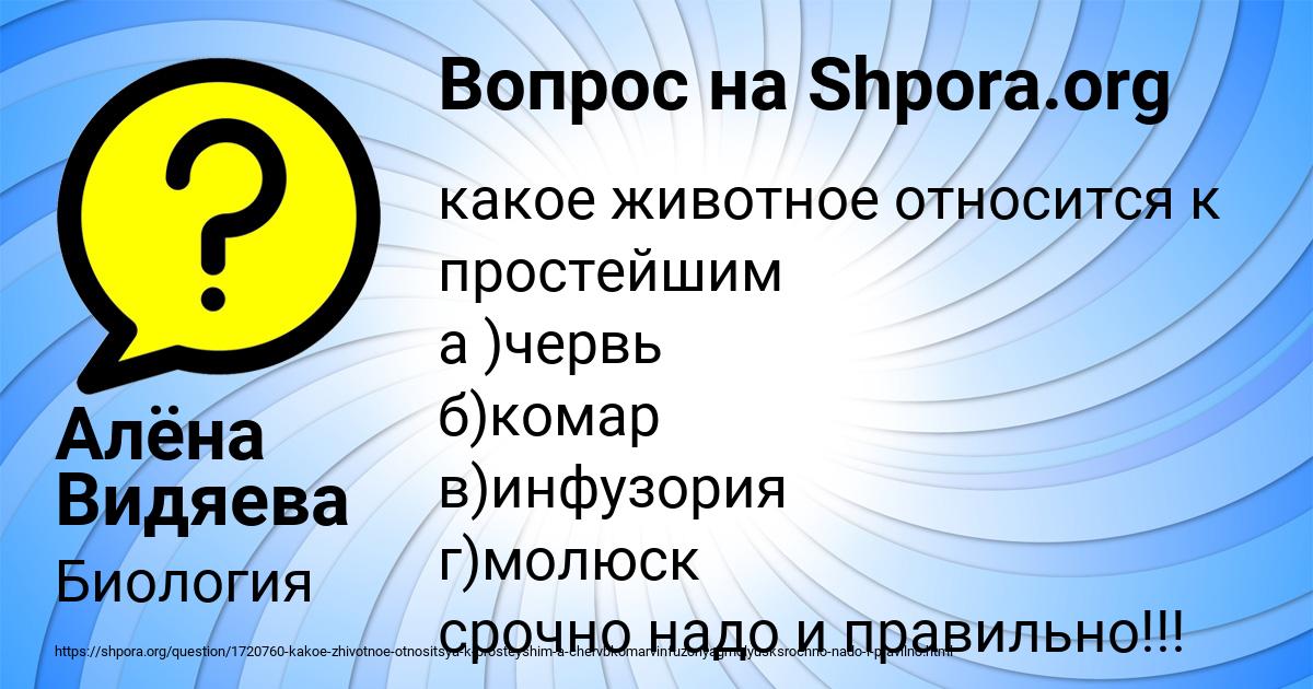 Картинка с текстом вопроса от пользователя Алёна Видяева