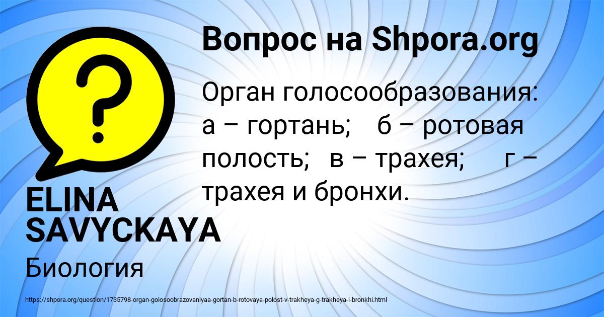 Картинка с текстом вопроса от пользователя ELINA SAVYCKAYA