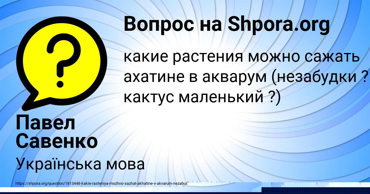 Картинка с текстом вопроса от пользователя Павел Савенко