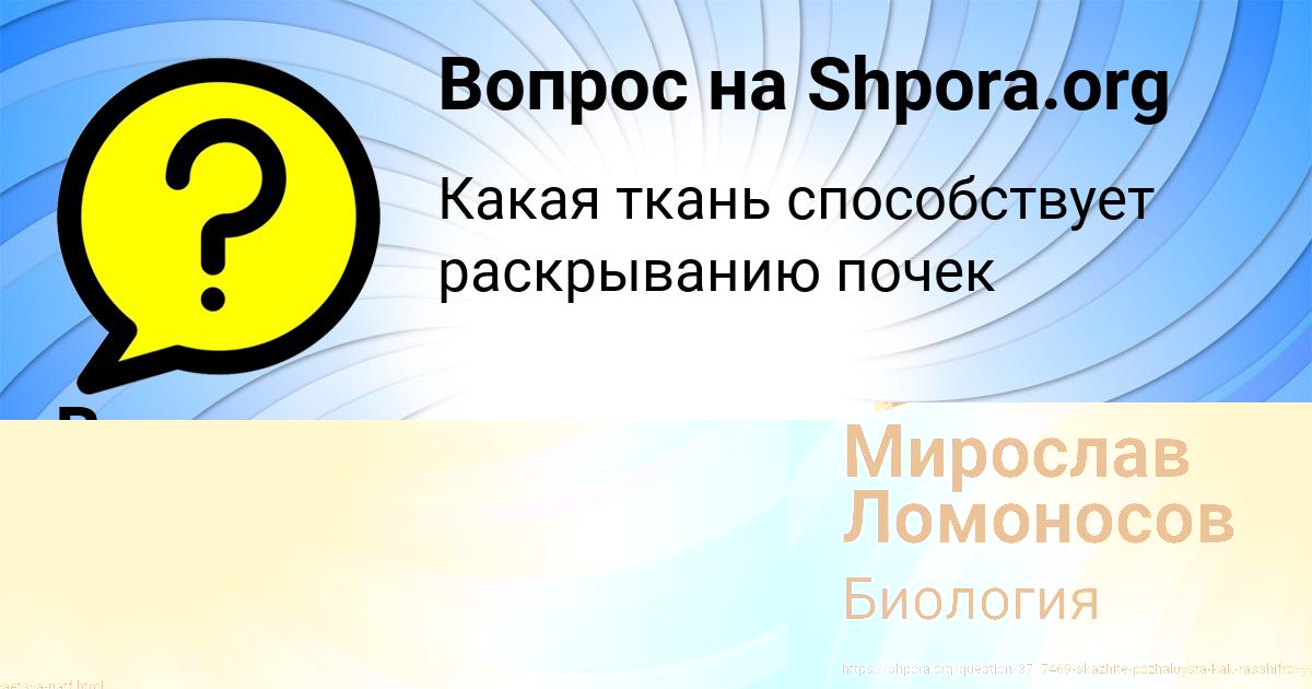 Картинка с текстом вопроса от пользователя Василиса Золина