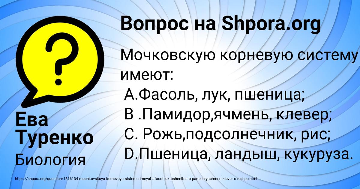 Картинка с текстом вопроса от пользователя Ева Туренко
