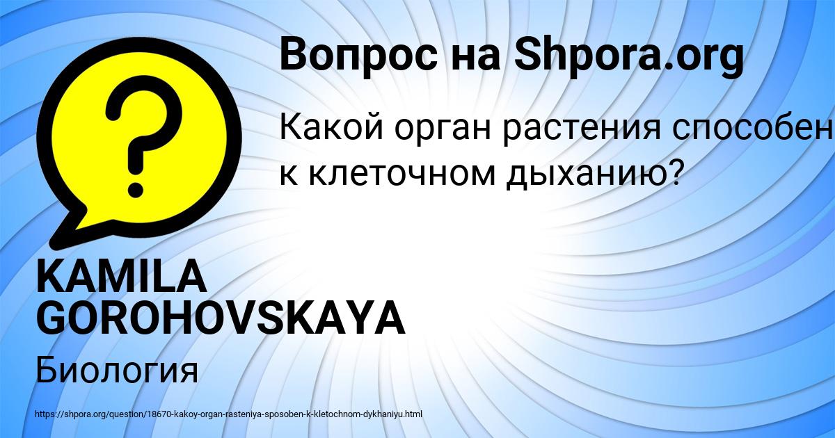 Картинка с текстом вопроса от пользователя KAMILA GOROHOVSKAYA