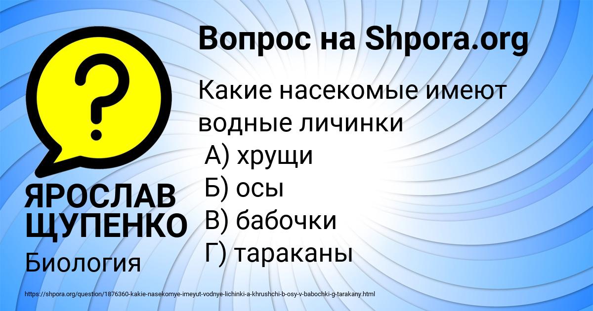 Картинка с текстом вопроса от пользователя ЯРОСЛАВ ЩУПЕНКО
