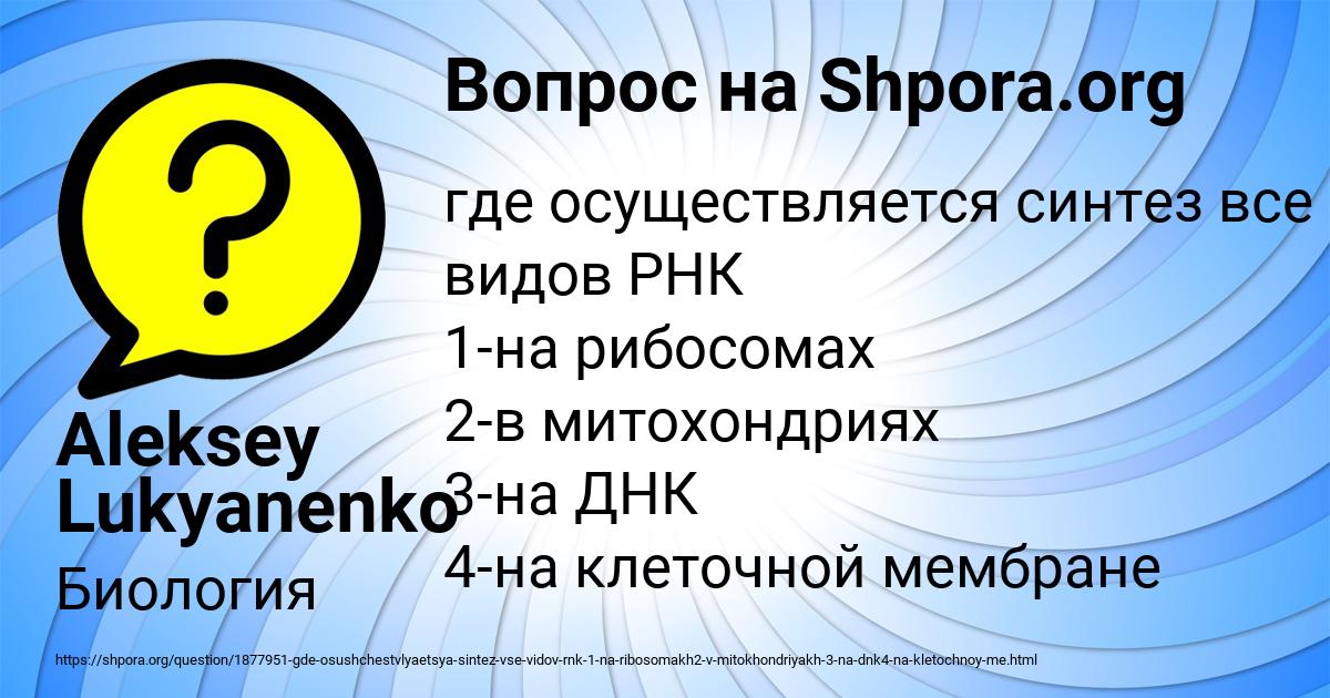 Картинка с текстом вопроса от пользователя Aleksey Lukyanenko