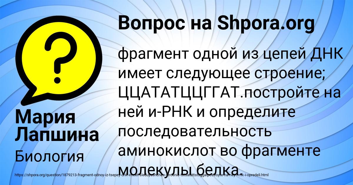 Картинка с текстом вопроса от пользователя Мария Лапшина