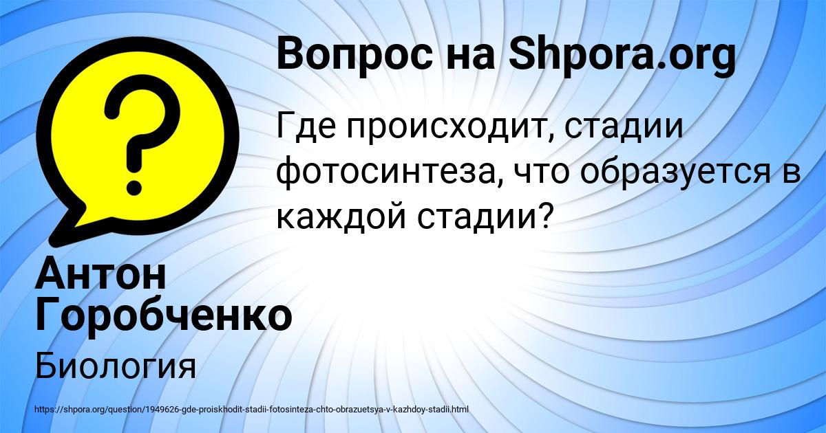 Картинка с текстом вопроса от пользователя Антон Горобченко
