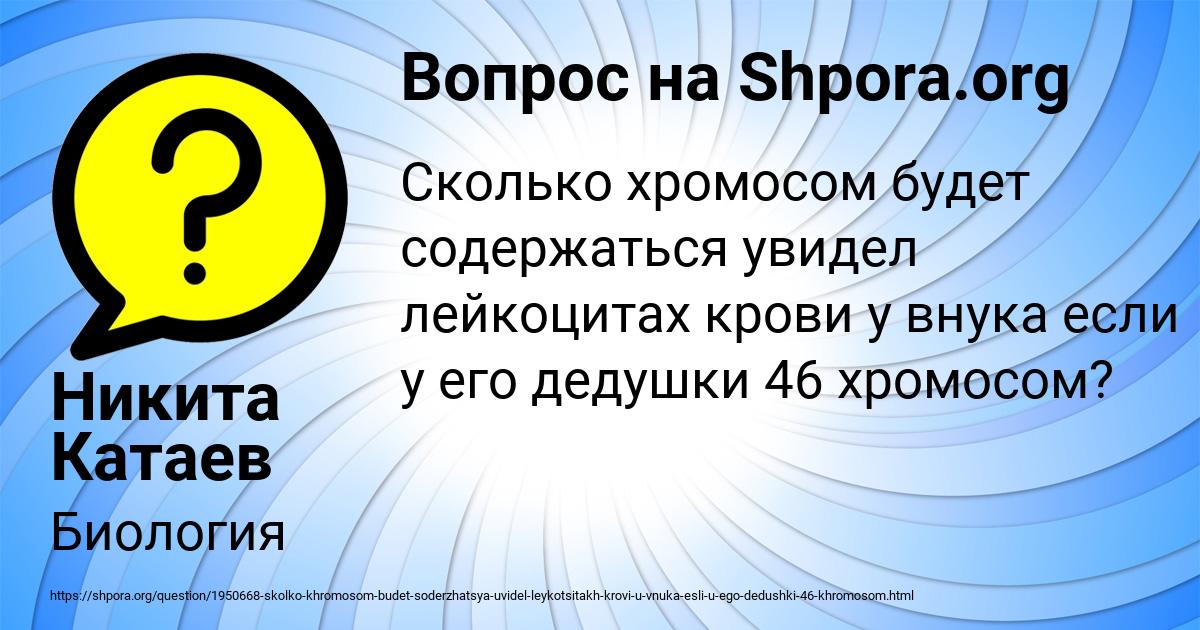 Картинка с текстом вопроса от пользователя Никита Катаев