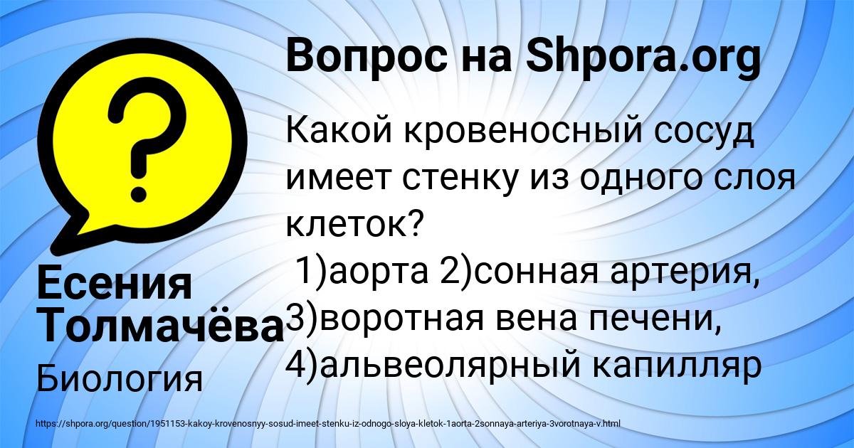 Картинка с текстом вопроса от пользователя Есения Толмачёва