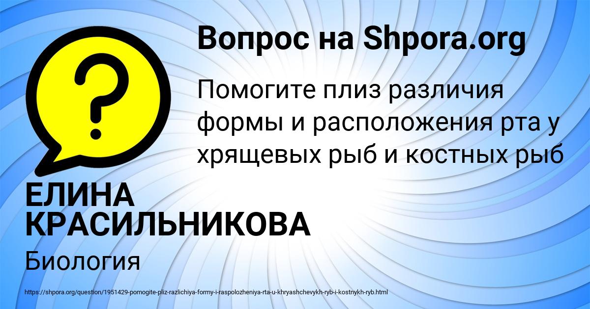 Картинка с текстом вопроса от пользователя ЕЛИНА КРАСИЛЬНИКОВА