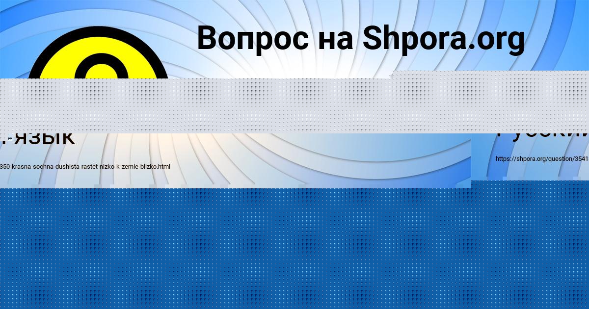 Картинка с текстом вопроса от пользователя УЛЬНАРА КАРПОВА