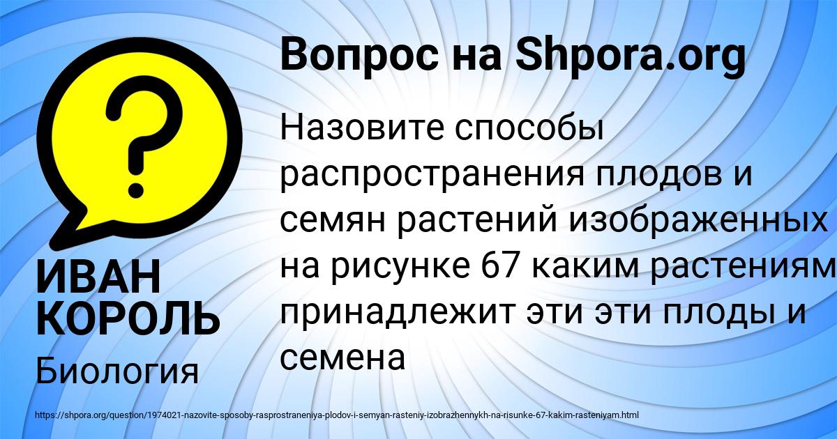 Как вы думаете какой вид социальных норм могут иллюстрировать действия людей изображенных на рисунке