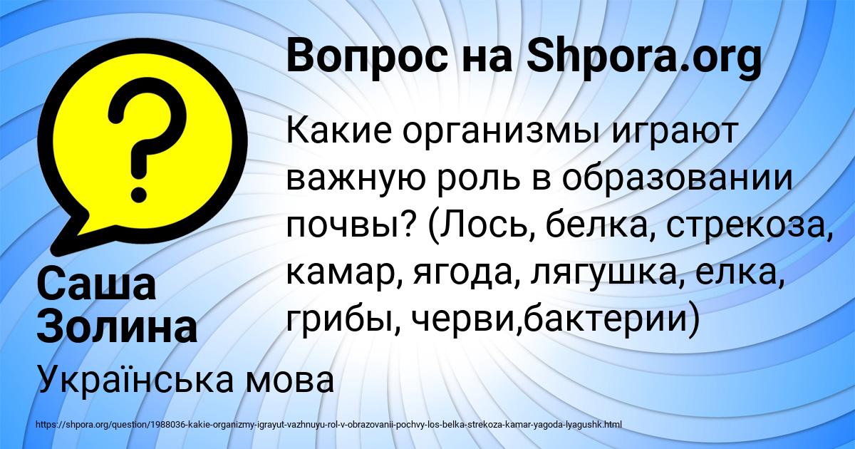 Картинка с текстом вопроса от пользователя Саша Золина