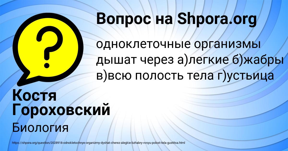 Картинка с текстом вопроса от пользователя Костя Гороховский