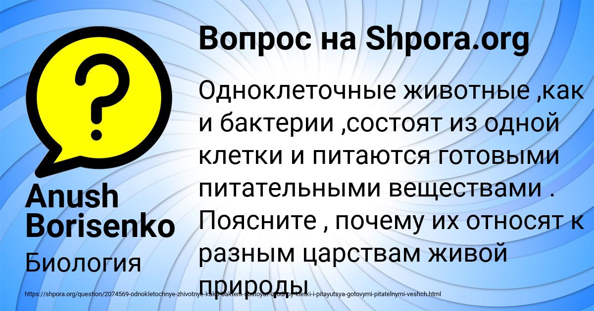 Картинка с текстом вопроса от пользователя Anush Borisenko