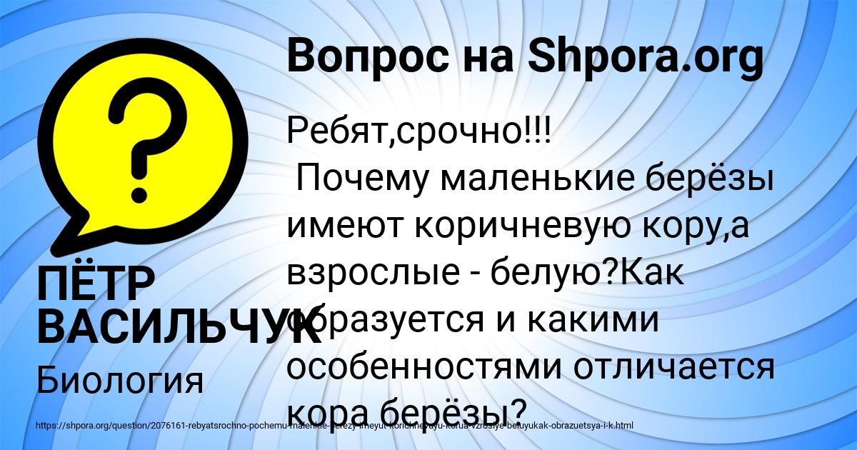 Картинка с текстом вопроса от пользователя ПЁТР ВАСИЛЬЧУК