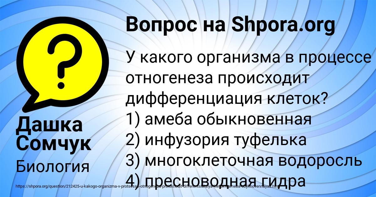 Картинка с текстом вопроса от пользователя Дашка Сомчук
