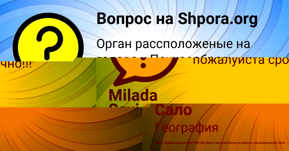 Картинка с текстом вопроса от пользователя Milada Savina