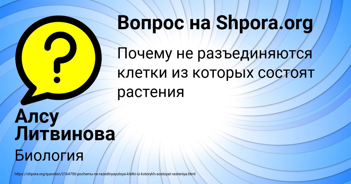 Картинка с текстом вопроса от пользователя Алсу Литвинова