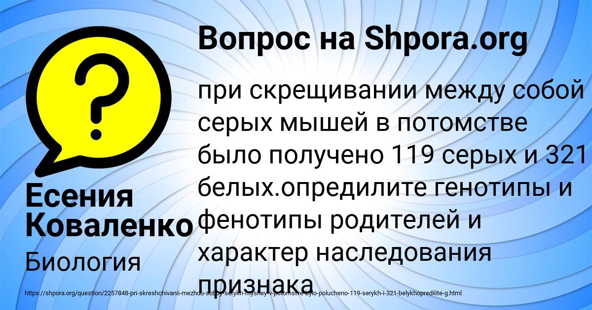 Картинка с текстом вопроса от пользователя Есения Коваленко