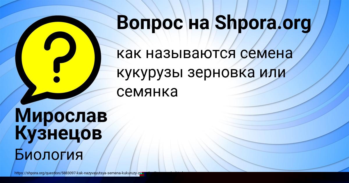 Картинка с текстом вопроса от пользователя Elena Melnik