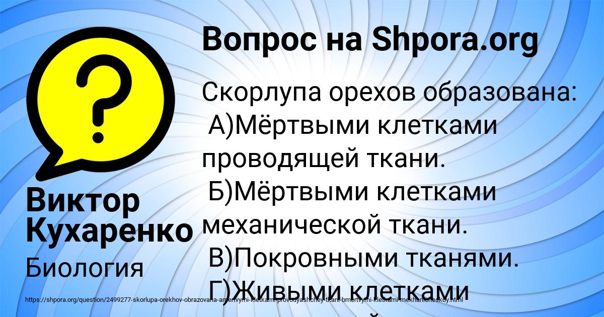Картинка с текстом вопроса от пользователя Виктор Кухаренко