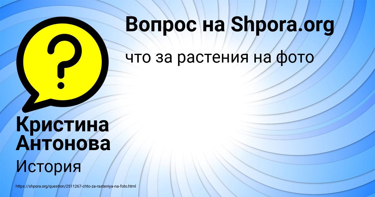 Картинка с текстом вопроса от пользователя Кристина Антонова