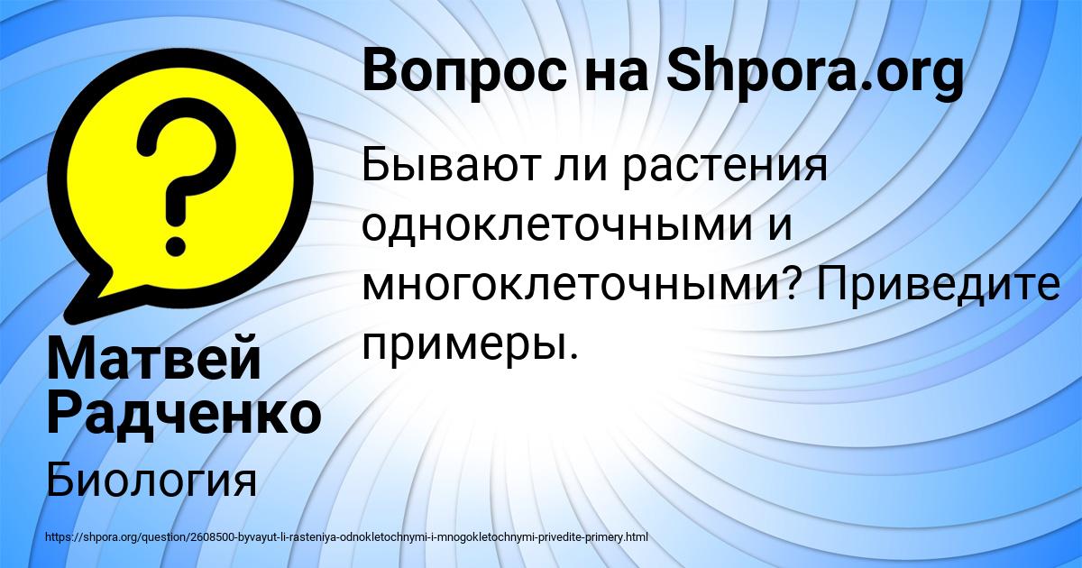 Картинка с текстом вопроса от пользователя Матвей Радченко