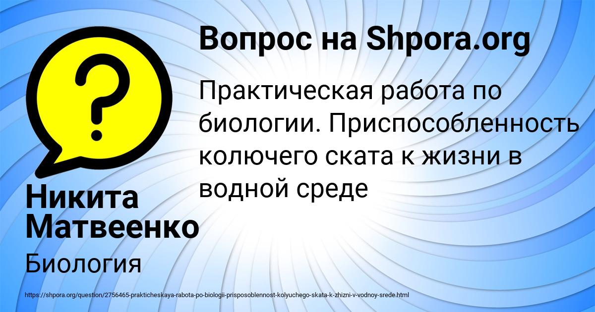 Картинка с текстом вопроса от пользователя Никита Матвеенко