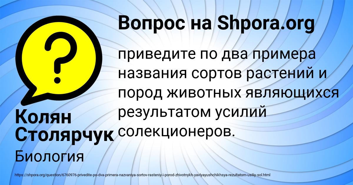 Картинка с текстом вопроса от пользователя Саша Бессонова
