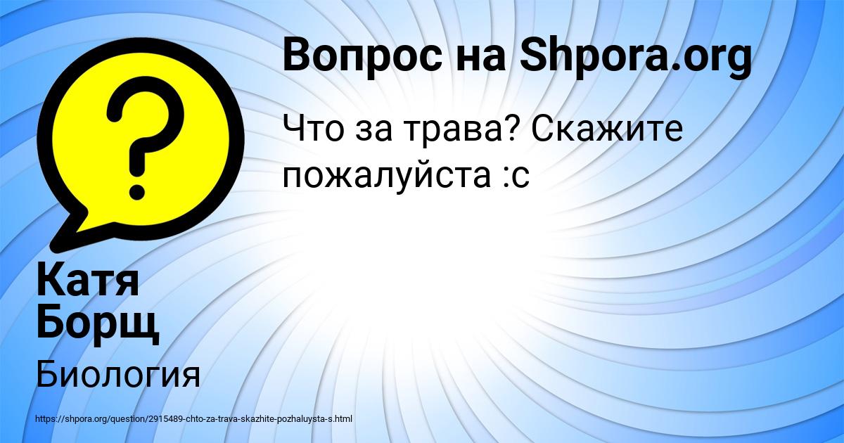 Картинка с текстом вопроса от пользователя Катя Борщ
