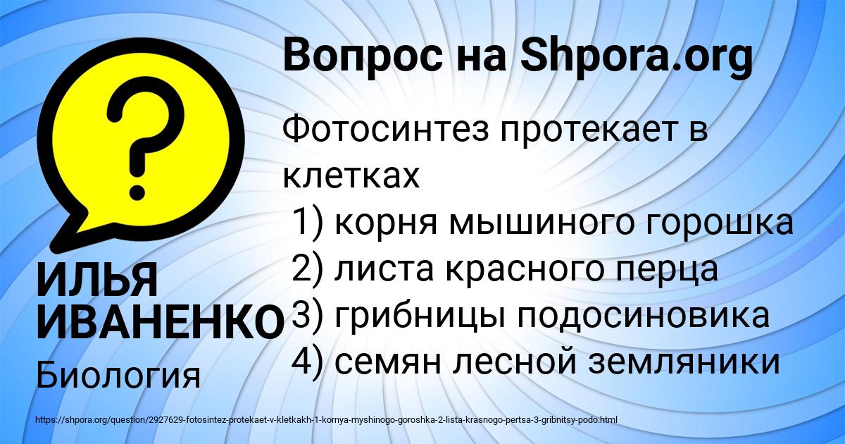 Картинка с текстом вопроса от пользователя ИЛЬЯ ИВАНЕНКО