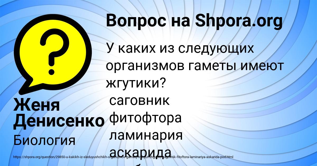 Картинка с текстом вопроса от пользователя Женя Денисенко