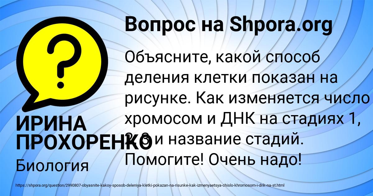 Картинка с текстом вопроса от пользователя ИРИНА ПРОХОРЕНКО