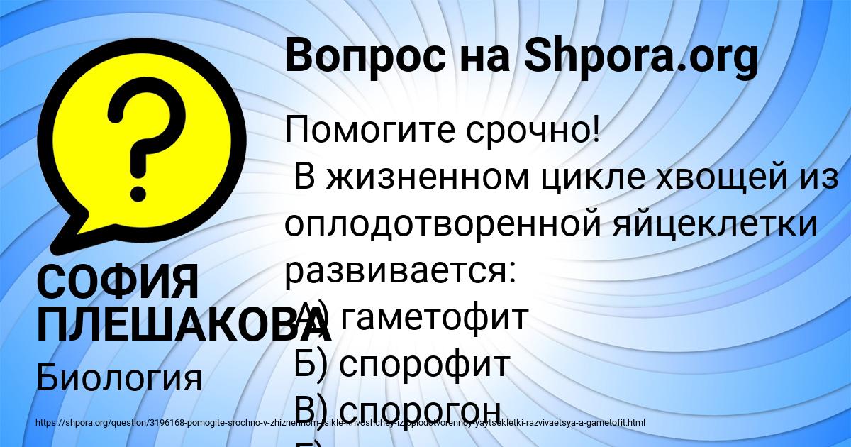 Картинка с текстом вопроса от пользователя СОФИЯ ПЛЕШАКОВА