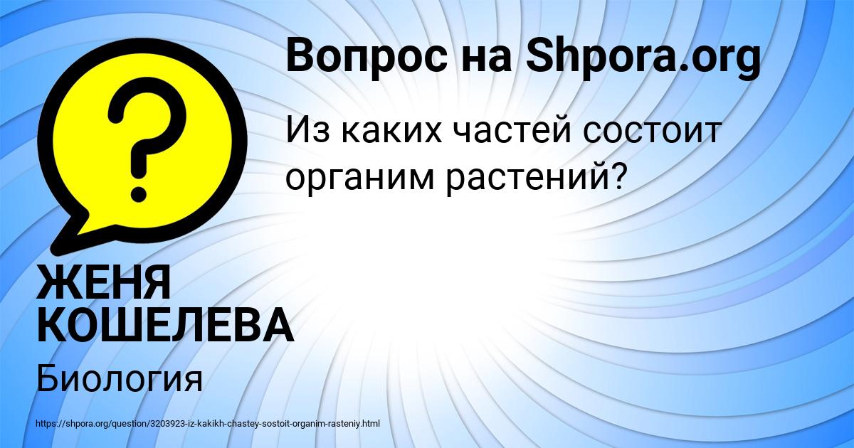 Картинка с текстом вопроса от пользователя ЖЕНЯ КОШЕЛЕВА