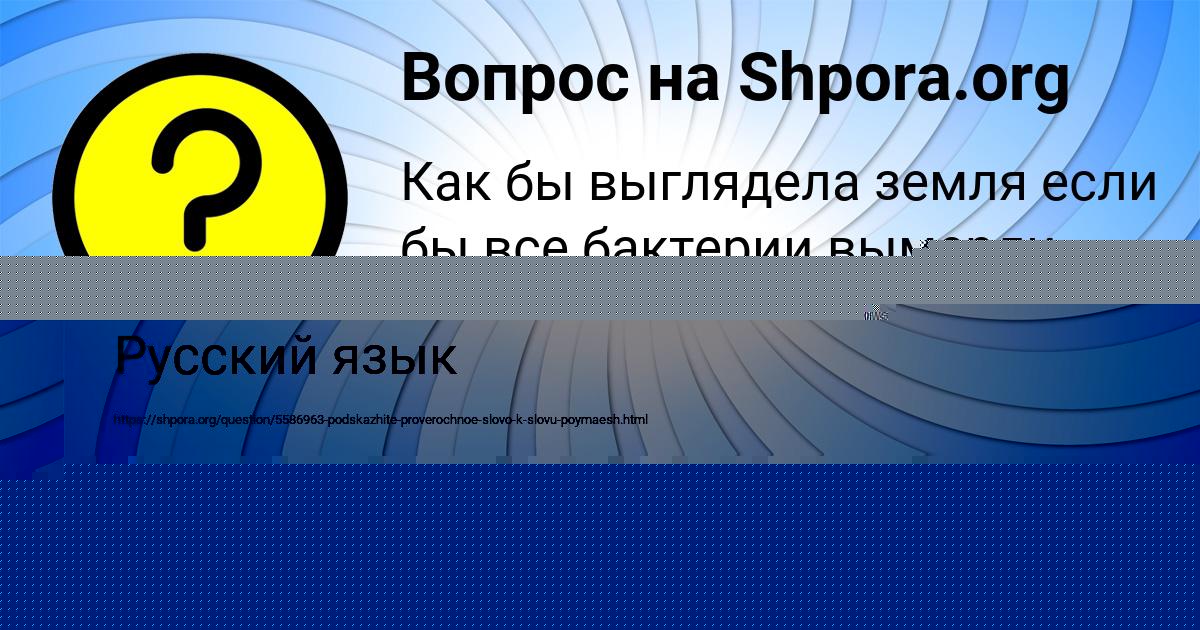 Картинка с текстом вопроса от пользователя Kris Baydak