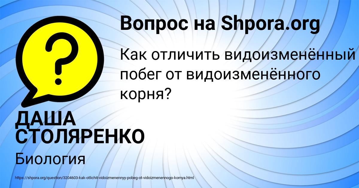 Картинка с текстом вопроса от пользователя ДАША СТОЛЯРЕНКО