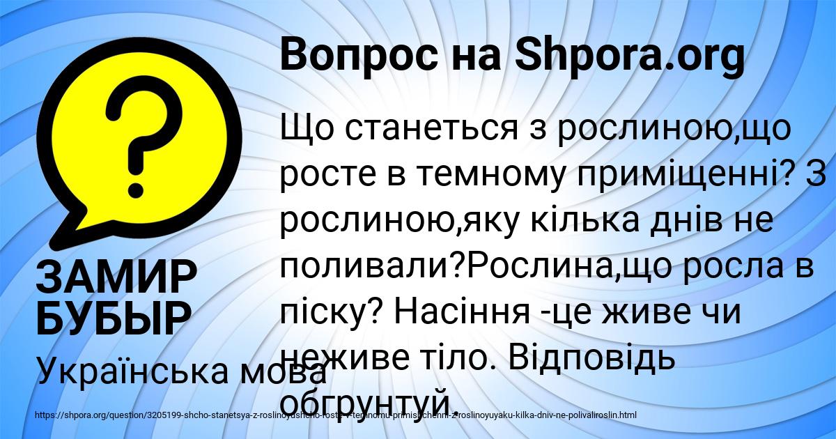 Картинка с текстом вопроса от пользователя ЗАМИР БУБЫР