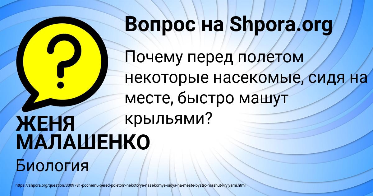 Картинка с текстом вопроса от пользователя ЖЕНЯ МАЛАШЕНКО