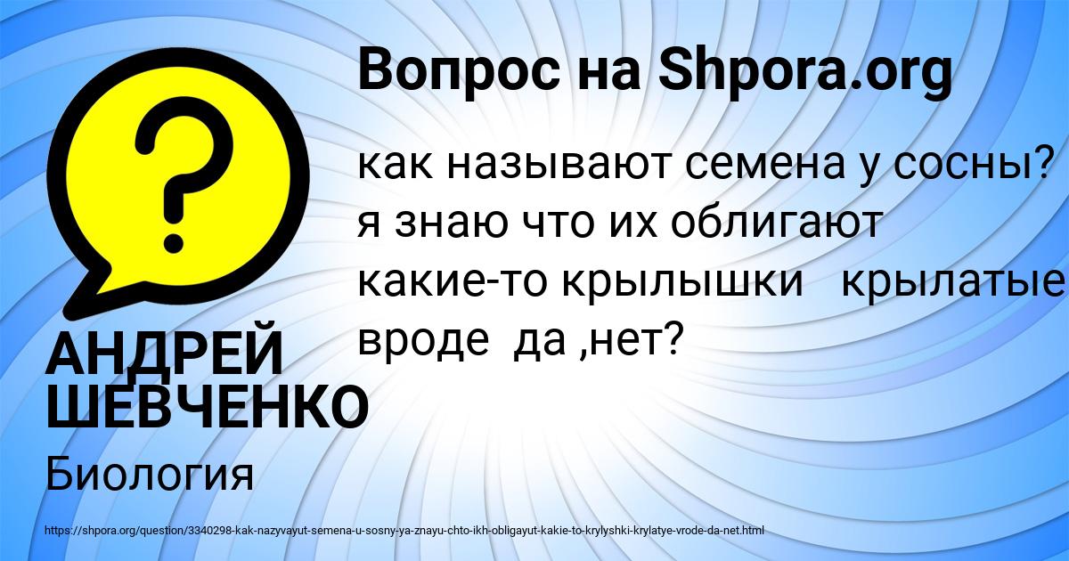 Картинка с текстом вопроса от пользователя АНДРЕЙ ШЕВЧЕНКО