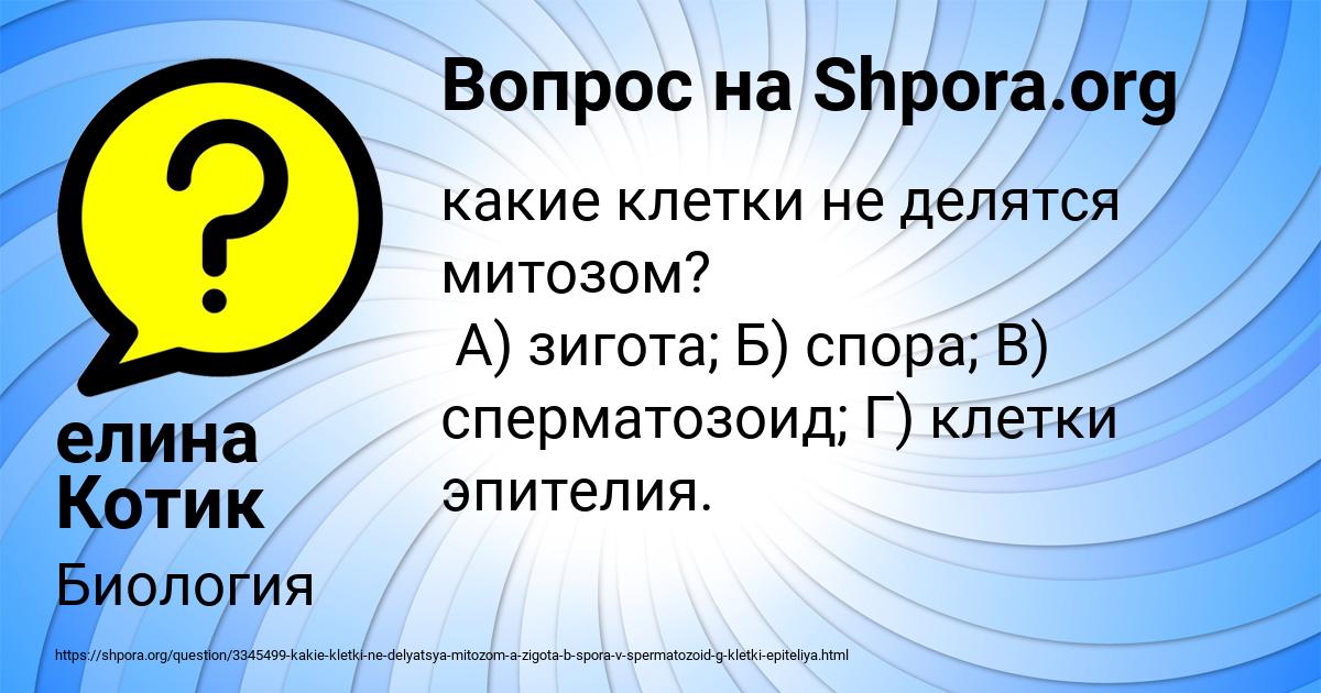 Картинка с текстом вопроса от пользователя елина Котик